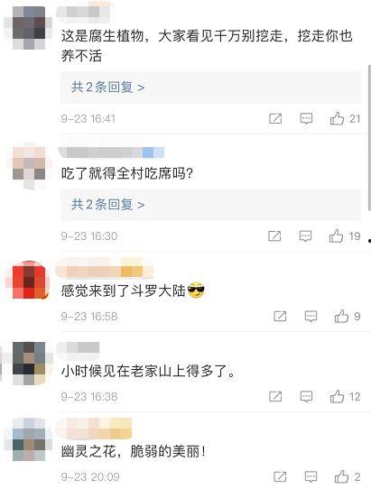 热点视频爆料点击进入,点击进入，探寻事件全貌  第1张